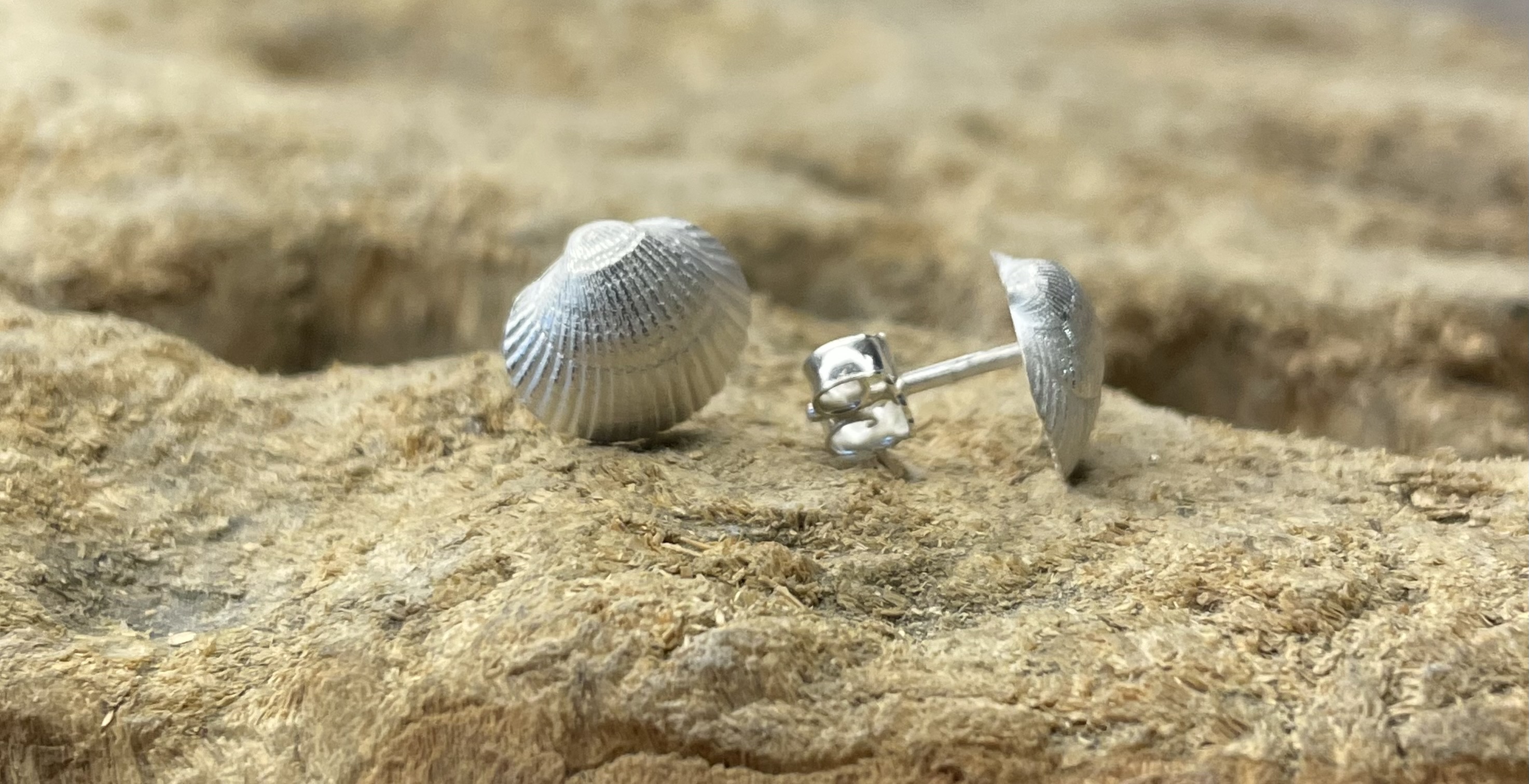 Ohrschmuck Muscheln Ohrschmuck Muscheln
