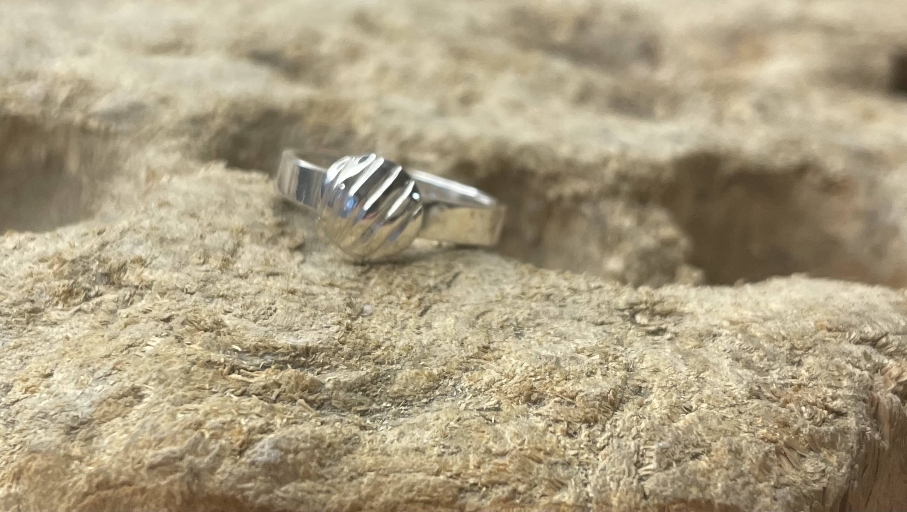 Ring Muschel 