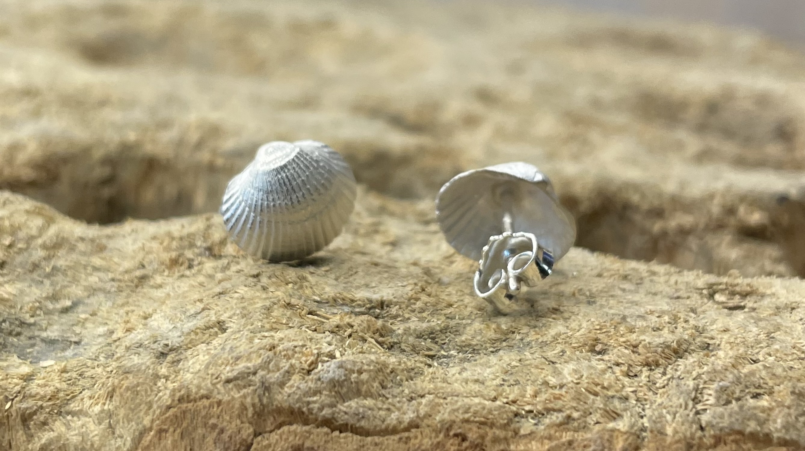 Ohrschmuck Muscheln Ohrschmuck Muscheln