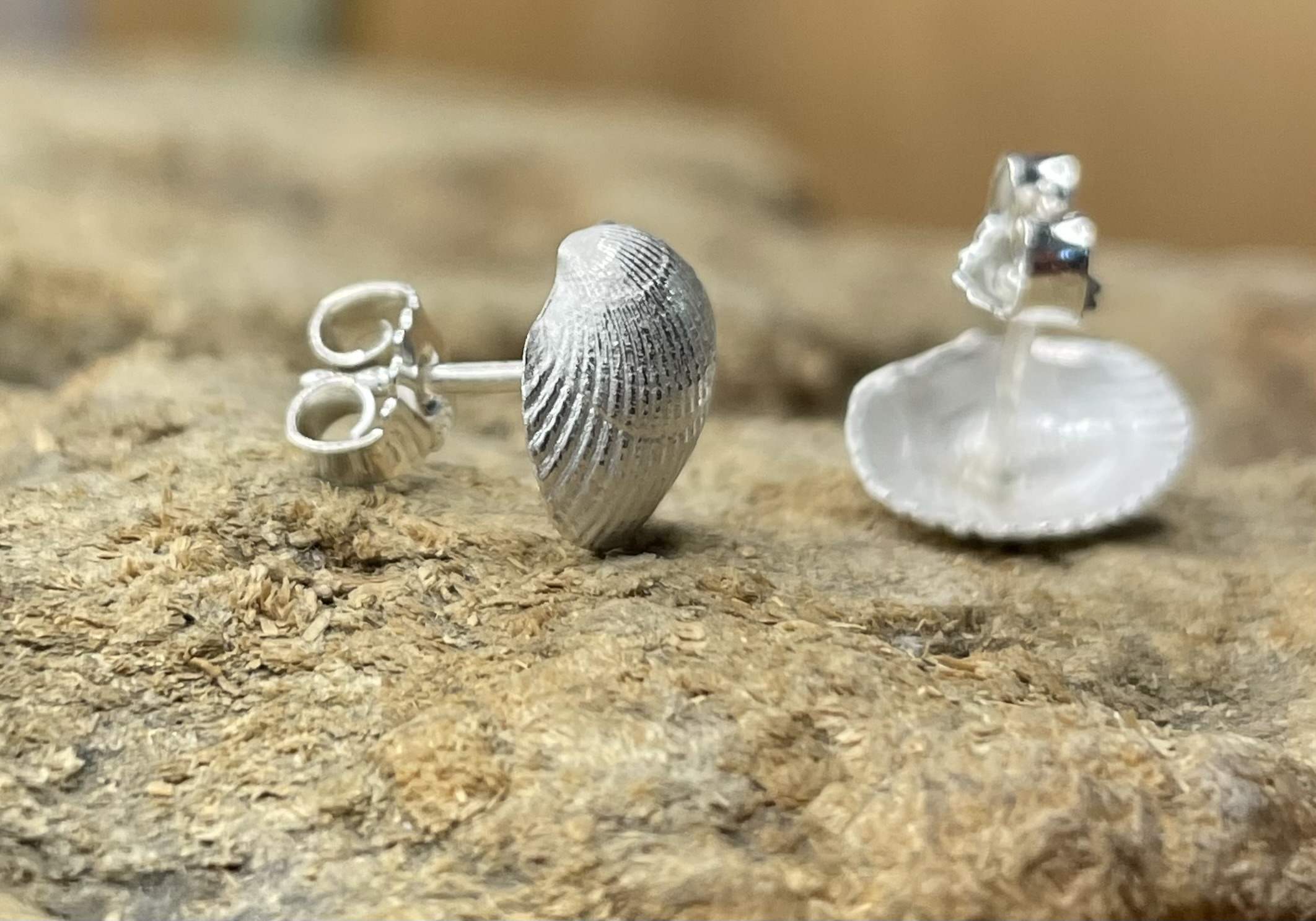 Ohrschmuck Muscheln Ohrschmuck Muscheln