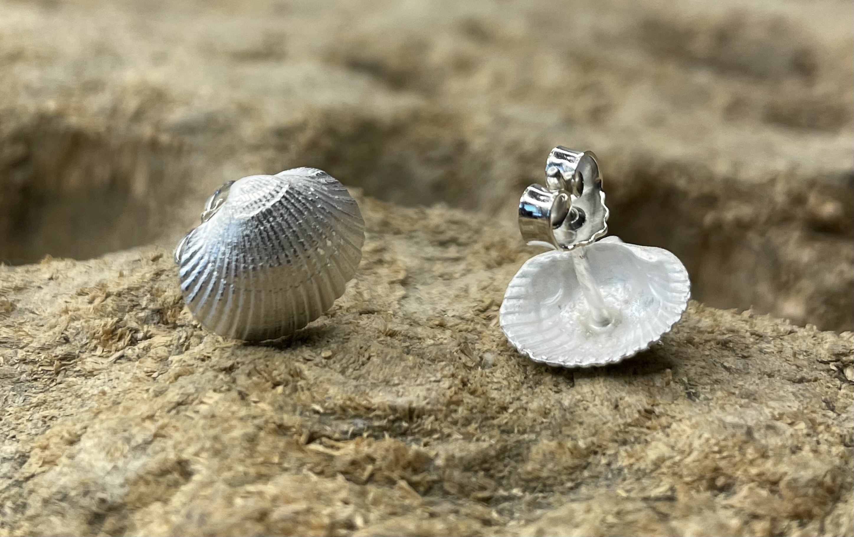 Ohrschmuck Muscheln Ohrschmuck Muscheln