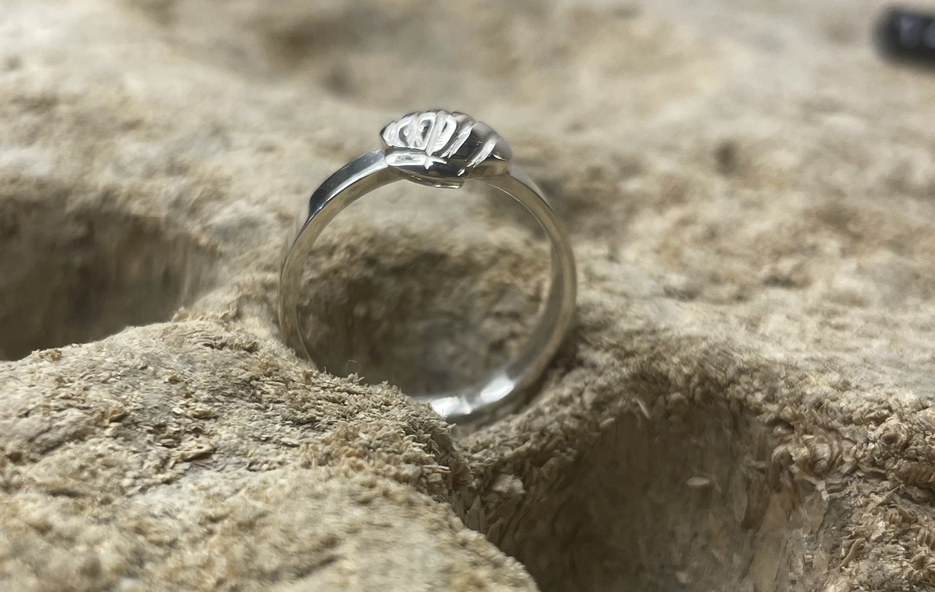 Ring Muschel 