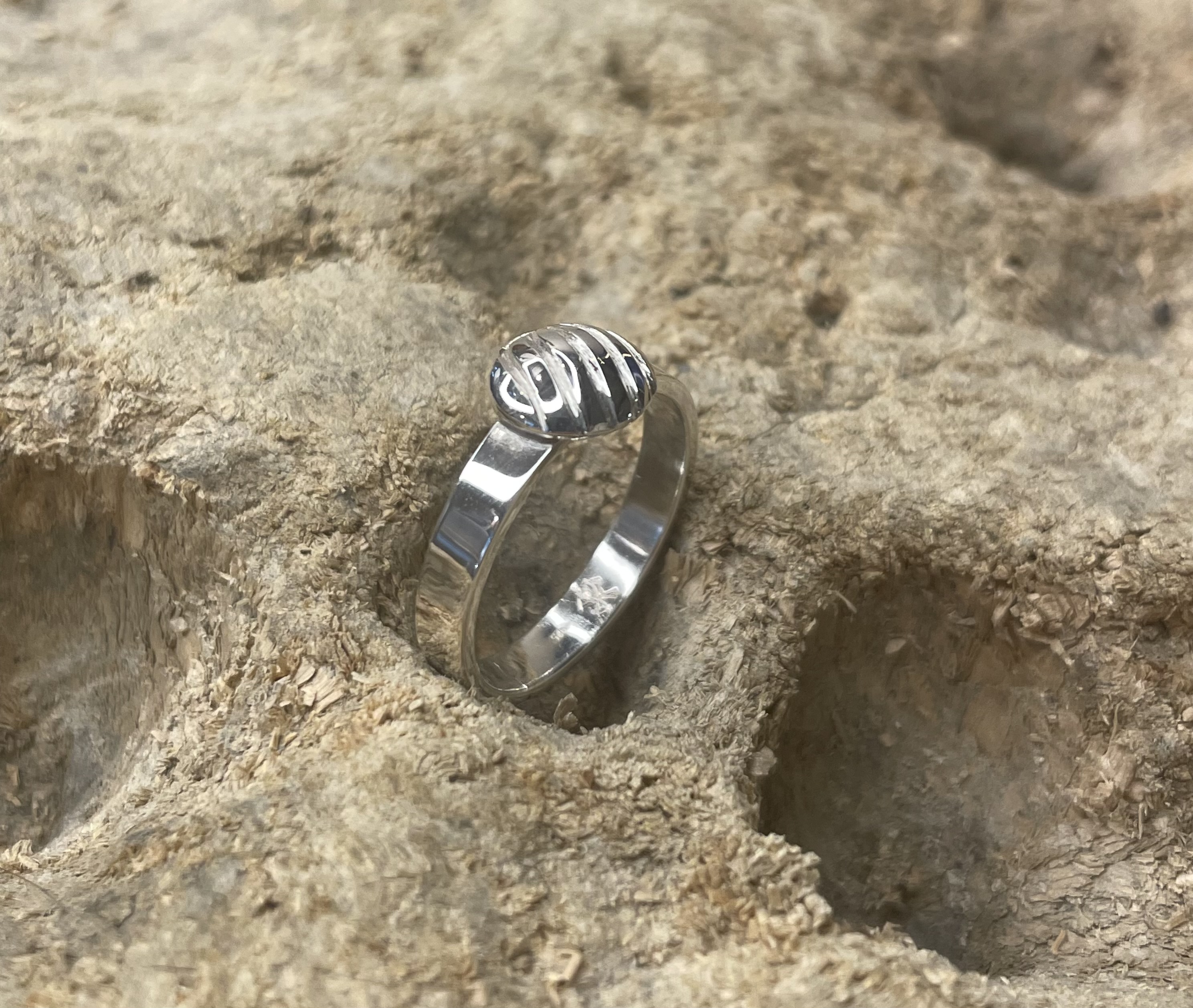 Ring Muschel 